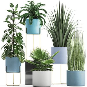 3D ornamental plants