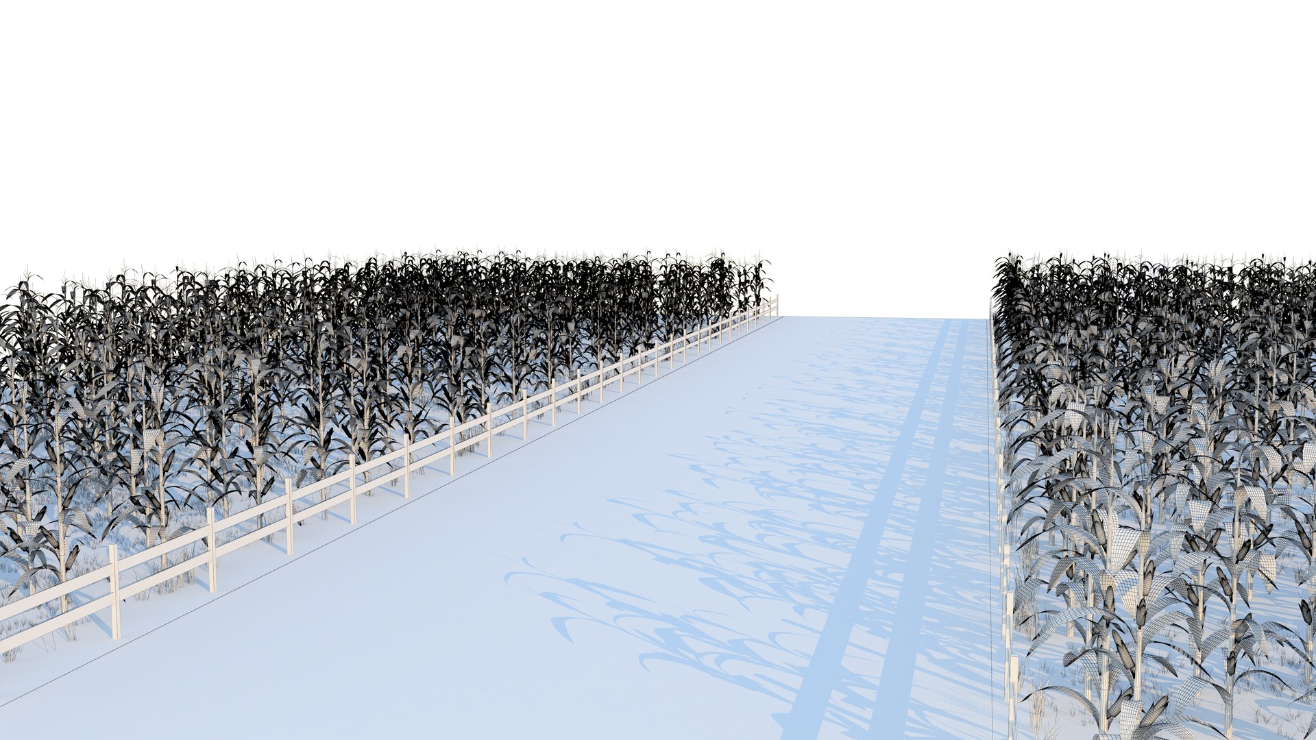 3D Cornfield Model - TurboSquid 2176441