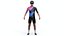 Road Cyclist - Rigged