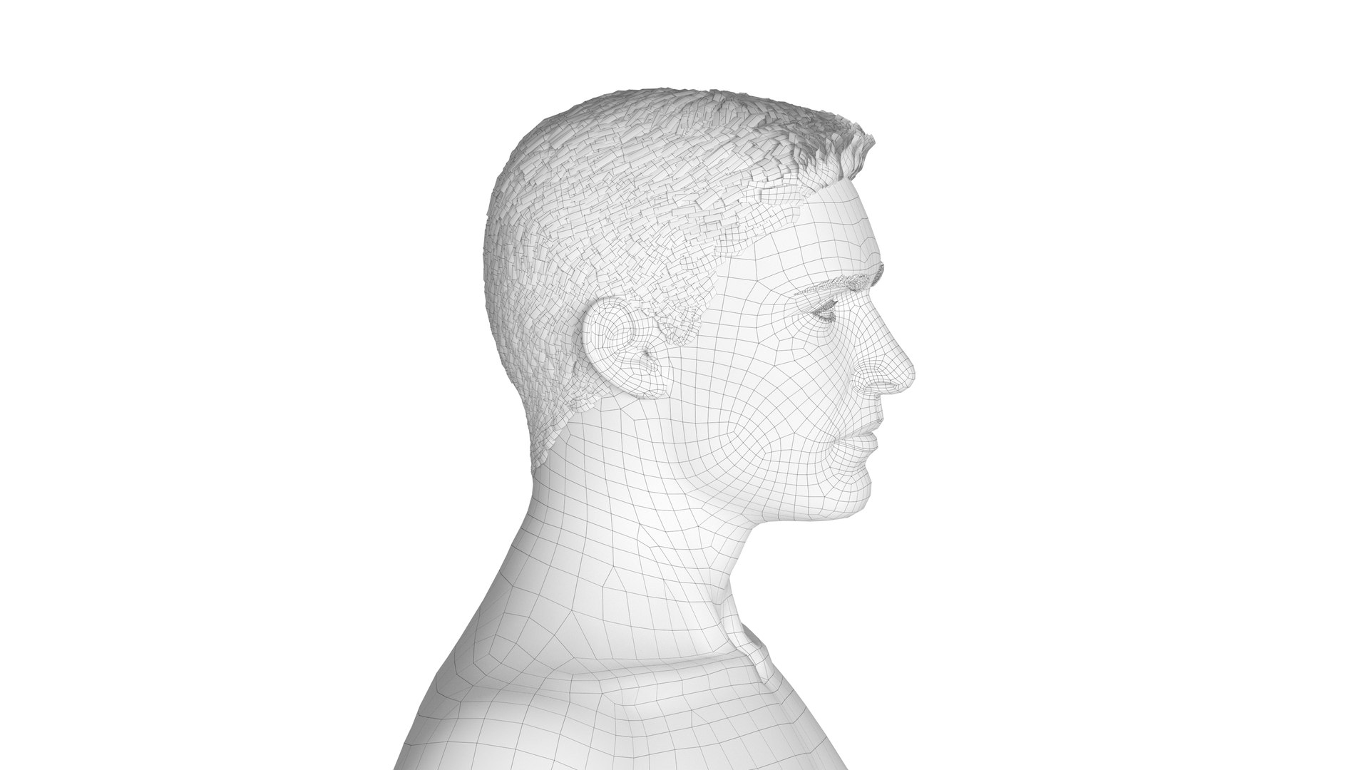3D Road Cyclist - Rigged model https://p.turbosquid.com/ts-thumb/aH/8QBcPJ/e3/wireframe_7/jpg/1793382343/1920x1080/fit_q87/541b901df6c8ab5d8d78801abcc7cd78ce150ba4/wireframe_7.jpg