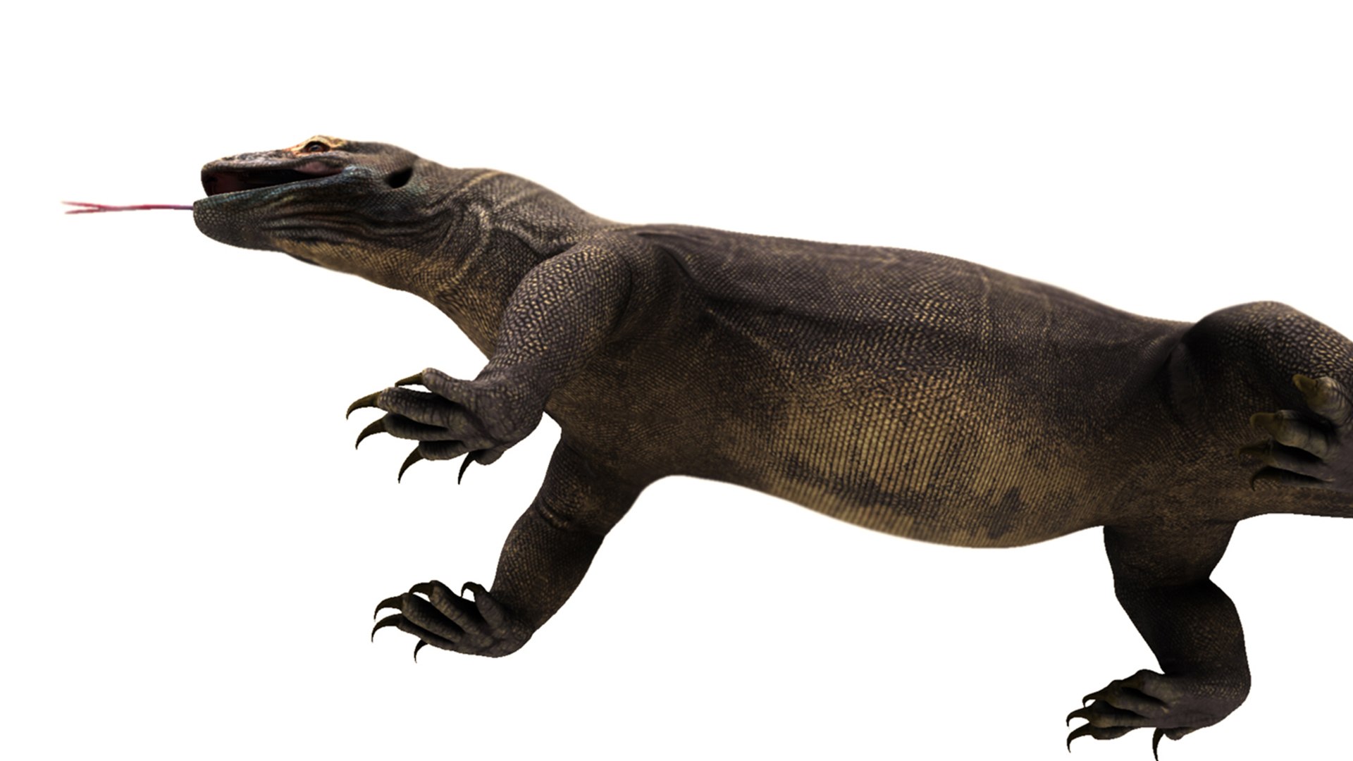 3D dragon komodo https://p.turbosquid.com/ts-thumb/aH/9dv8MP/50/k5/jpg/1777569900/1920x1080/fit_q87/70e464ddf69e50a22172d86643f0f00209d08b75/k5.jpg