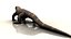 dragão de komodo