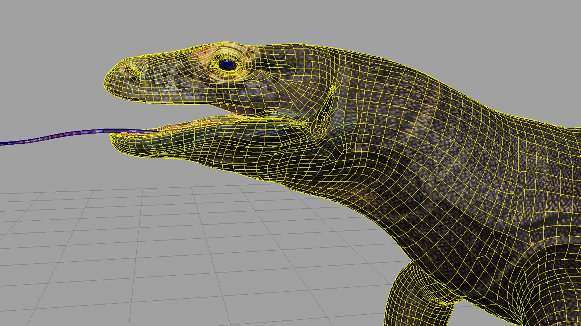 3D dragon komodo https://p.turbosquid.com/ts-thumb/aH/9dv8MP/EH/k16/jpg/1777569906/1920x1080/fit_q87/bc69981c95055a0209cad95a572687a9ceae6798/k16.jpg