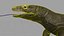 dragão de komodo