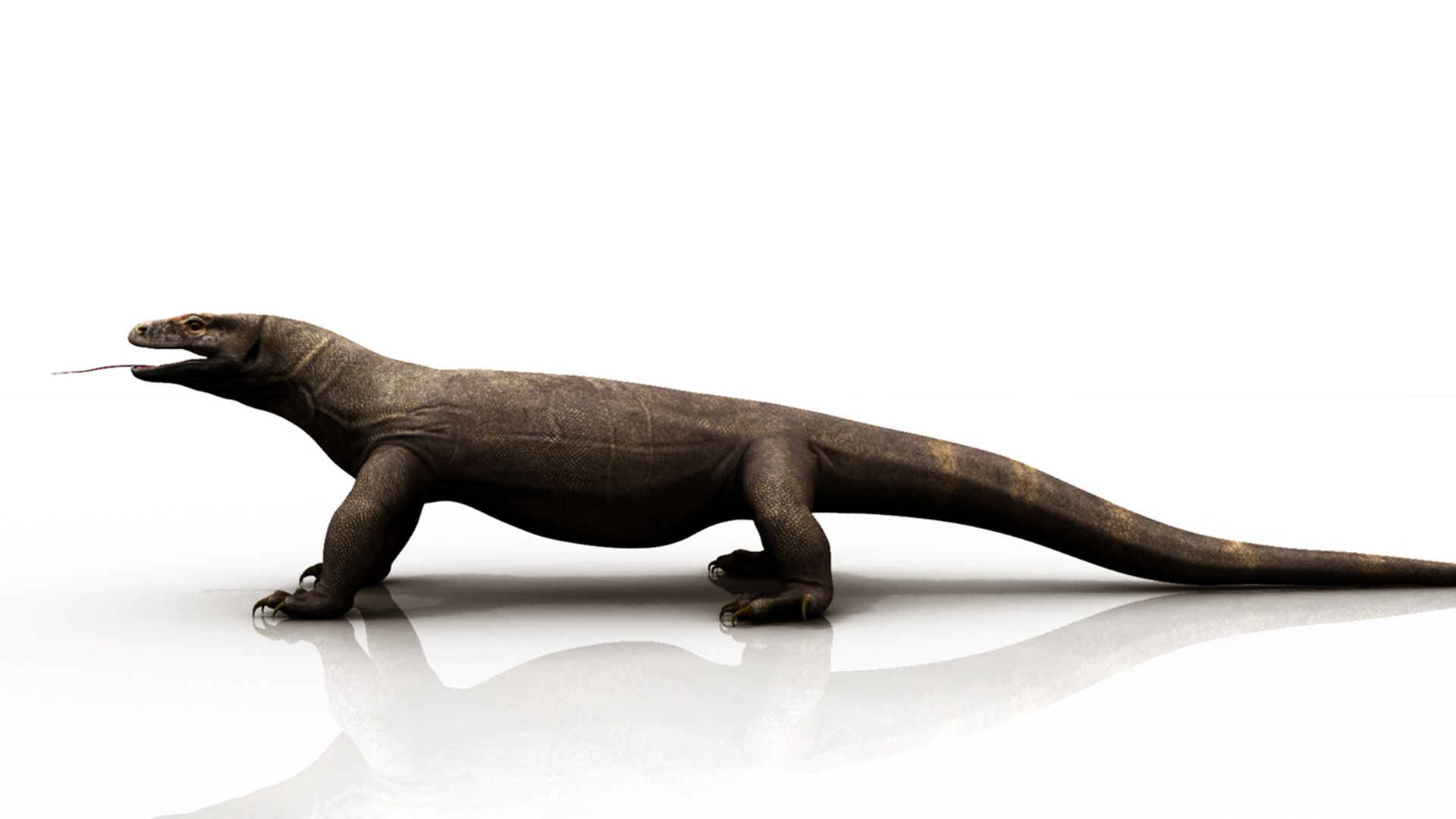 3D dragon komodo https://p.turbosquid.com/ts-thumb/aH/9dv8MP/Er/k3/jpg/1777569898/1920x1080/fit_q87/97926ae4b7ec36c6d682d965b57caaf6dba9637e/k3.jpg