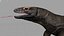 dragão de komodo