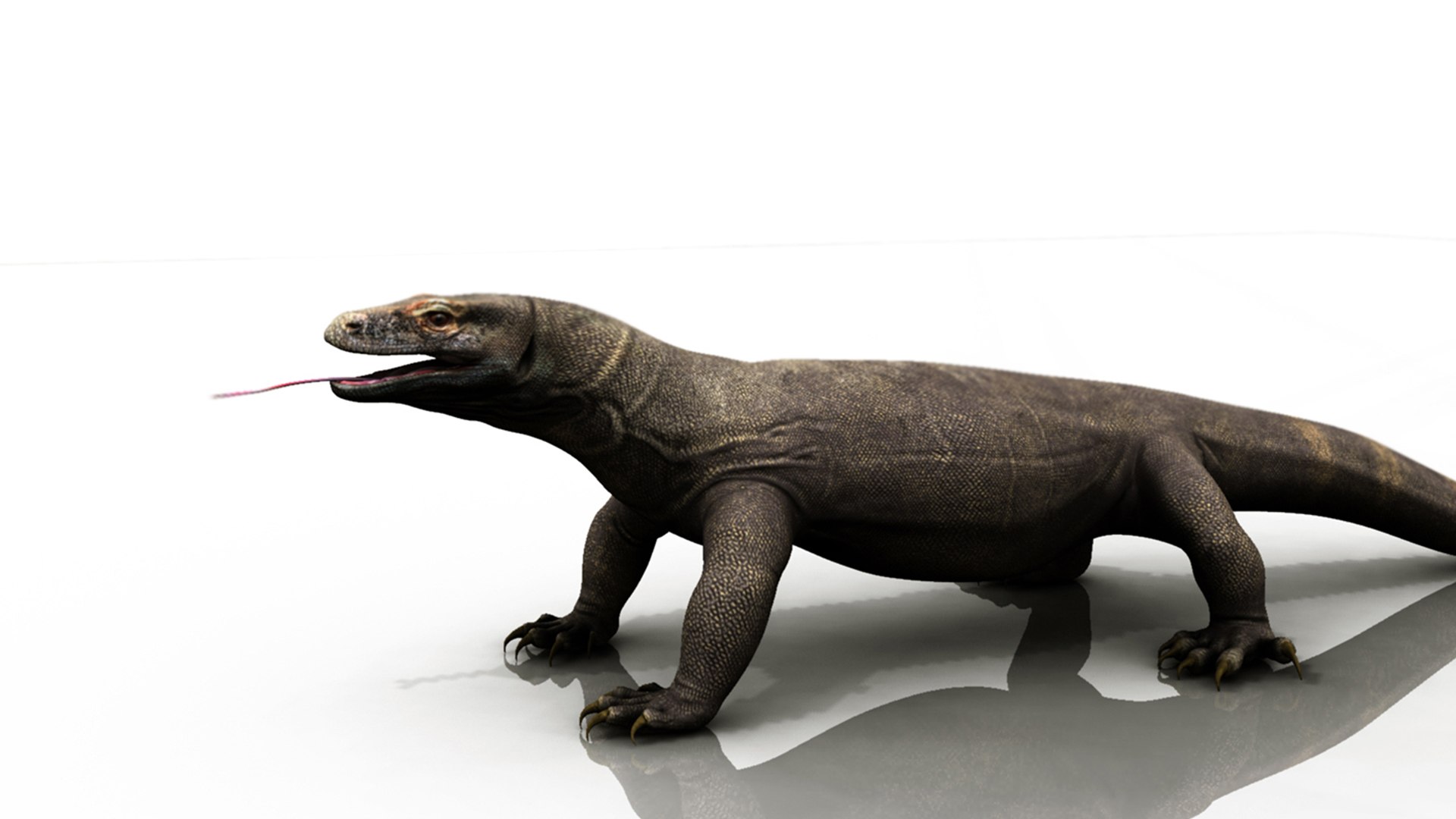3D dragon komodo https://p.turbosquid.com/ts-thumb/aH/9dv8MP/uA/k2/jpg/1777569898/1920x1080/fit_q87/dda3d39ec84706e8fcf84f11ae3e67ef6bec6797/k2.jpg