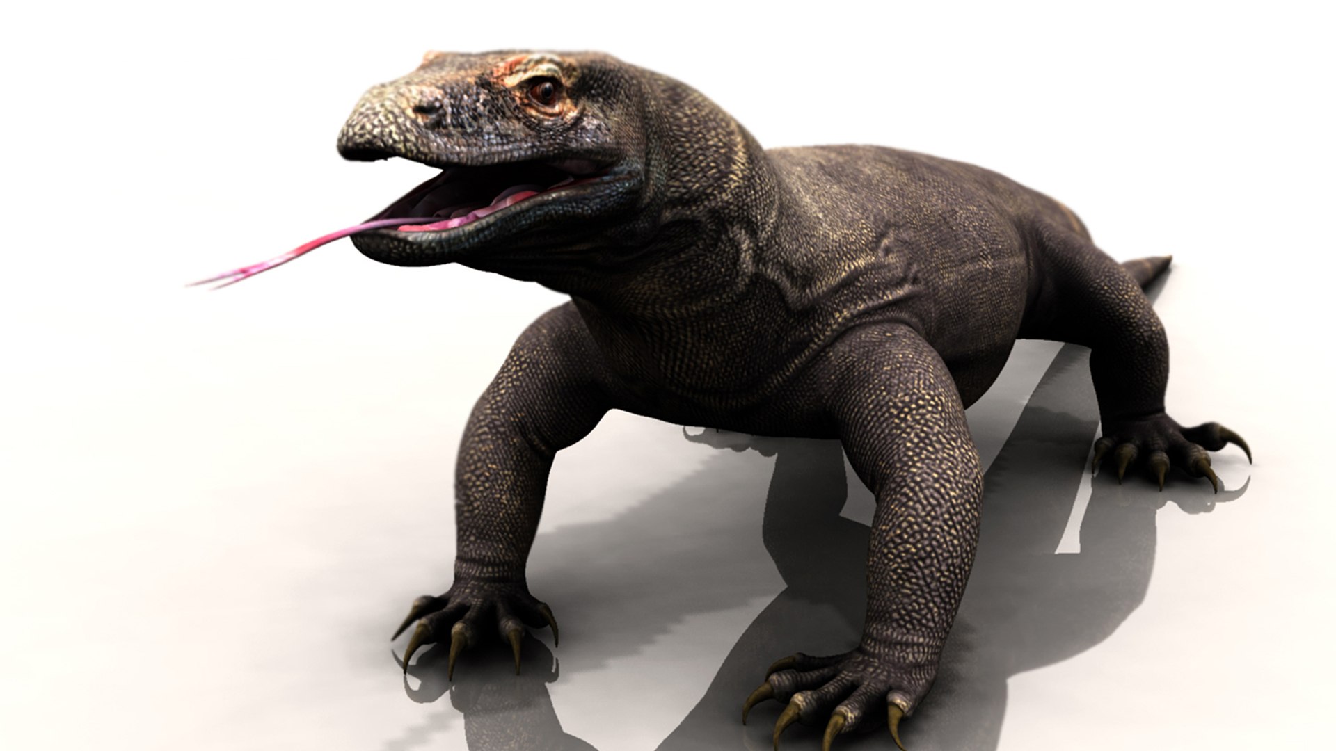 3D dragon komodo https://p.turbosquid.com/ts-thumb/aH/9dv8MP/wH/k4/jpg/1777569899/1920x1080/fit_q87/ba7e187803211f2942ce467fb02c6551ae1565f3/k4.jpg