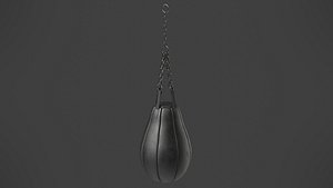Punching Bag 1