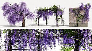 Photorealistic Japanese Wisteria Pack