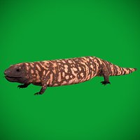 Gila Monster Lizard