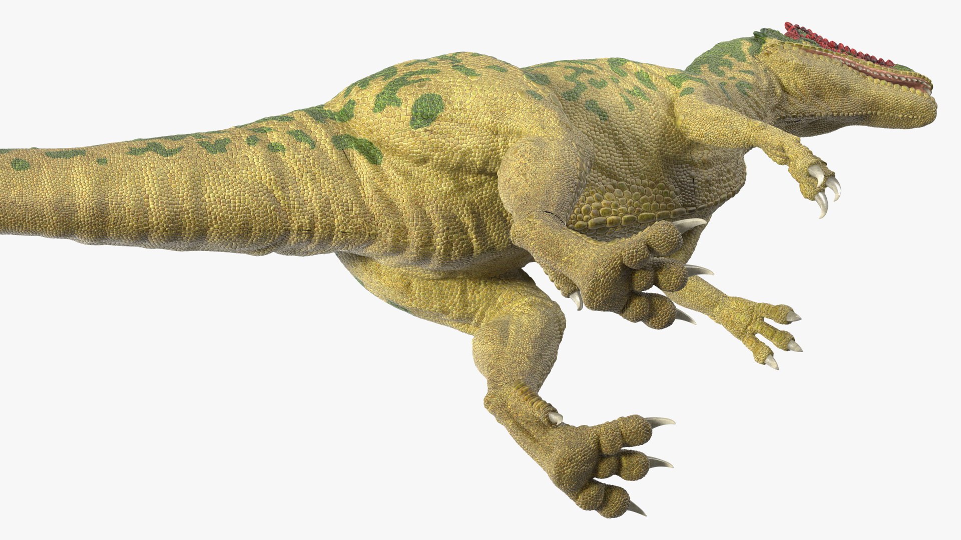 3D Allosaurus Green Coloring Rigged For Maya - TurboSquid 2167716