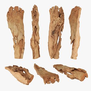 PSWooden020 scanned Wood chips 3D model