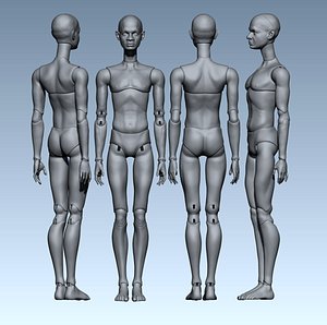 3D model 3D doll  jointed doll  bjd doll  ooak  digital doll handmade  Printing