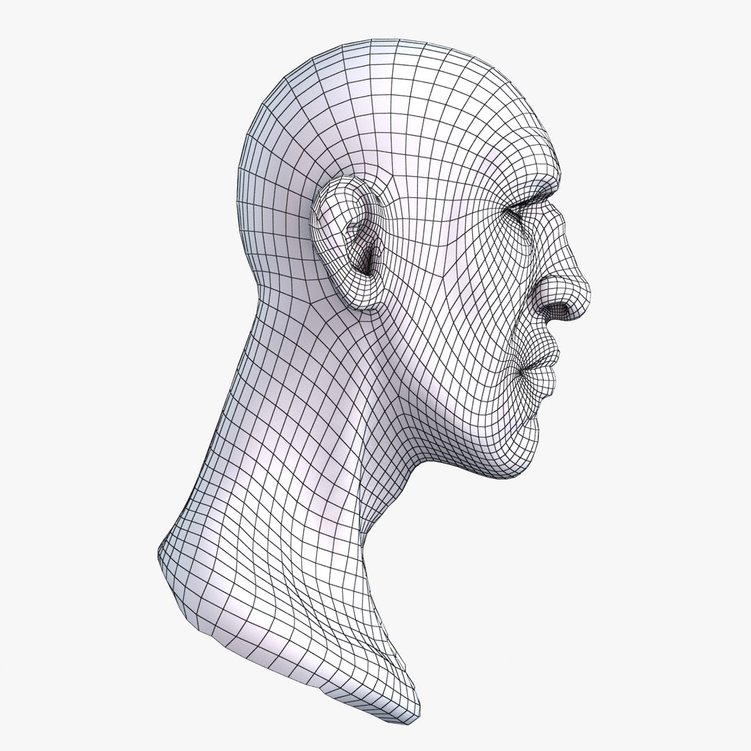 3D Male Head Model - TurboSquid 1386205