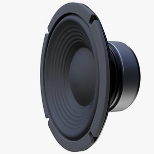 12-Inch Bass Loudspeaker