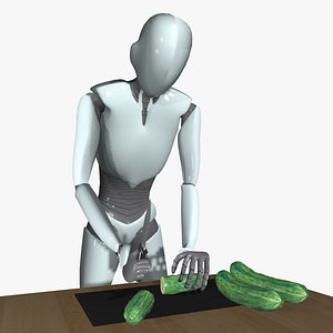 Everyday Life Indoor animations - Motion Cast29 Vol2 3D model