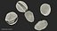 Roasted Pistachios Set