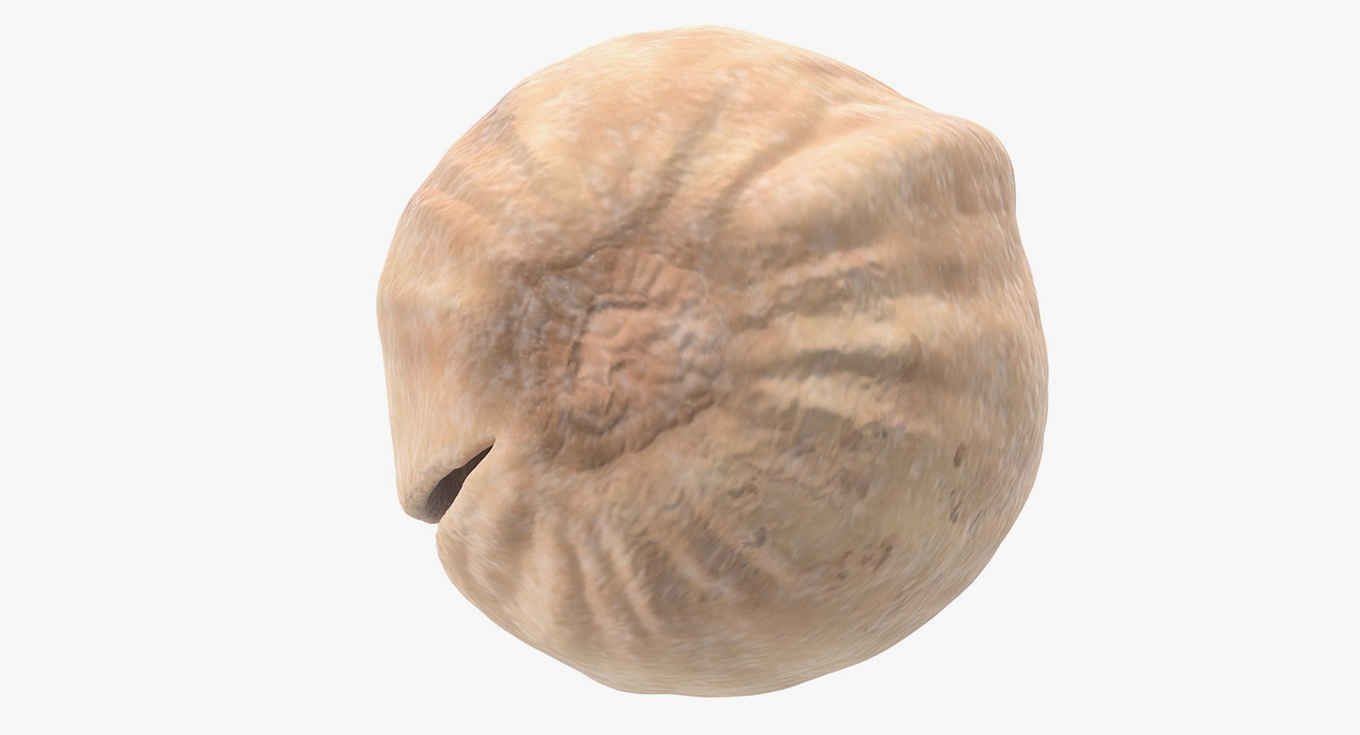 3D set pistachios roasted https://p.turbosquid.com/ts-thumb/aI/FV5CpF/waAllhGk/roastedpistachiossetvray3dmodel015/jpg/1563906635/1920x1080/fit_q87/3c416a607717e0d4f7eef4f6f9f08b53fba7044b/roastedpistachiossetvray3dmodel015.jpg