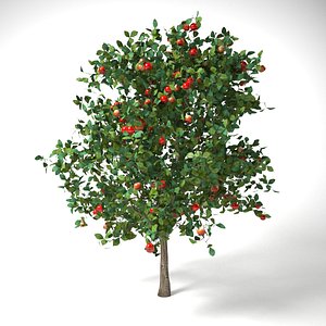 3D apple tree 3 7 model