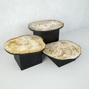 3D Petrified Wood Slice Coffee Tables 8 model