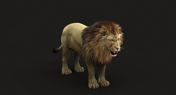 3D lion rigged fur model - TurboSquid 1302124