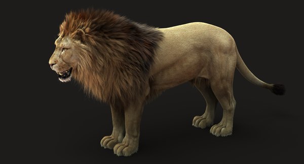 3D lion rigged fur model - TurboSquid 1302124