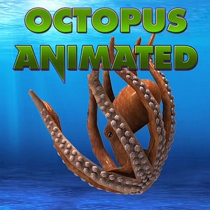 octopus max