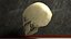 Human Skull Bones Anatomy simple