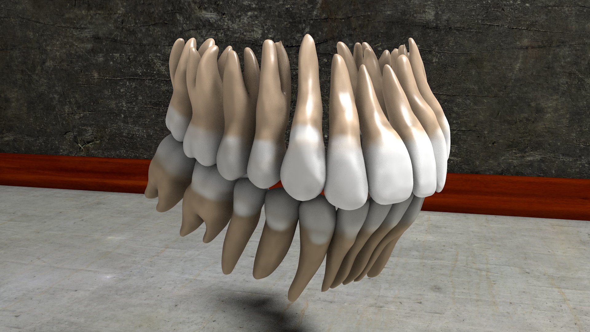 human skull 3D model https://p.turbosquid.com/ts-thumb/aI/h8VwXR/CmdTHuHZ/skull0002_0010/jpg/1495226146/1920x1080/fit_q87/ef0e89d9c3ea42e791a406cba29e1ef52c42e6d3/skull0002_0010.jpg