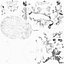 Human Skull Bones Anatomy simple