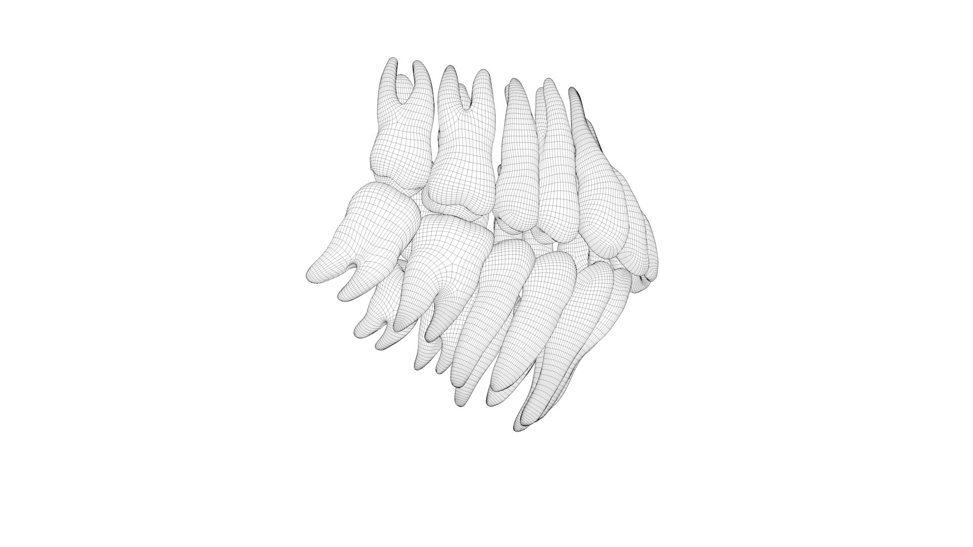 human skull 3D model https://p.turbosquid.com/ts-thumb/aI/h8VwXR/f7ZbOADI/skullturn05/jpg/1495226921/1920x1080/turn_fit_q99/85358e9eaf30c8b106120b510833d3654b1a18cd/skullturn05-1.jpg