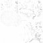 Human Skull Bones Anatomy simple