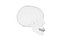Human Skull Bones Anatomy simple
