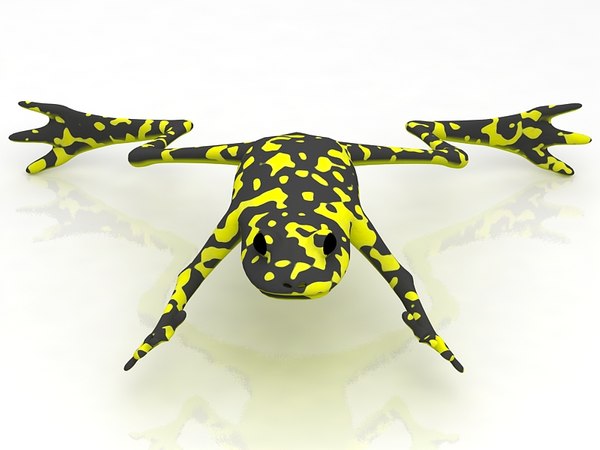 Frog 3D model