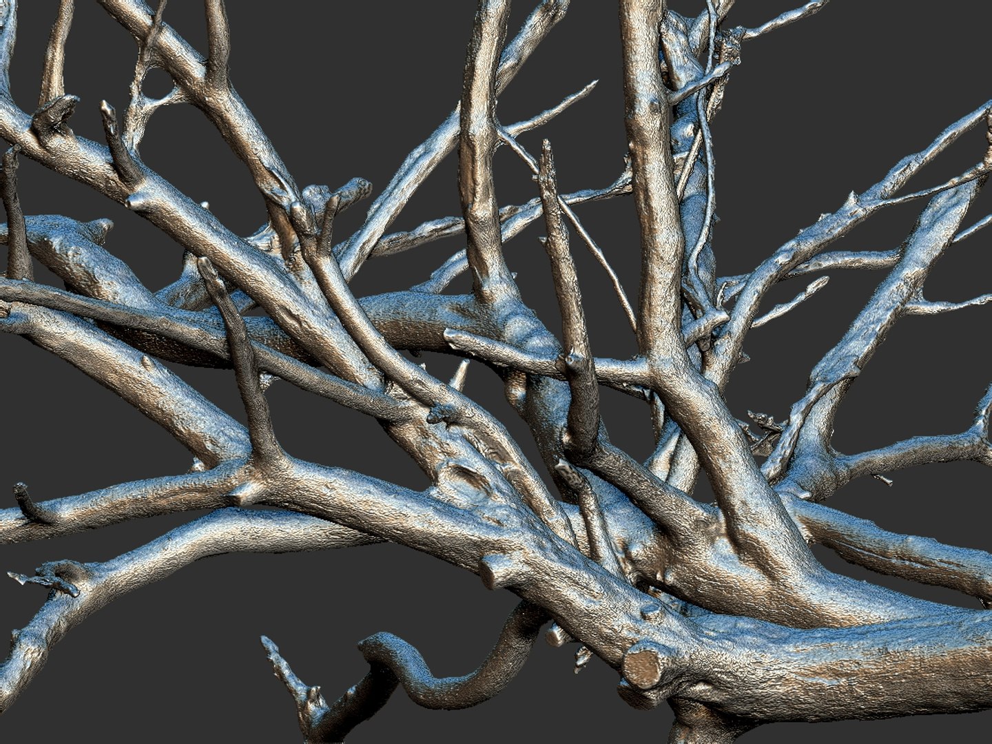 3D Old Forest ULTRA HD Model - TurboSquid 2290088