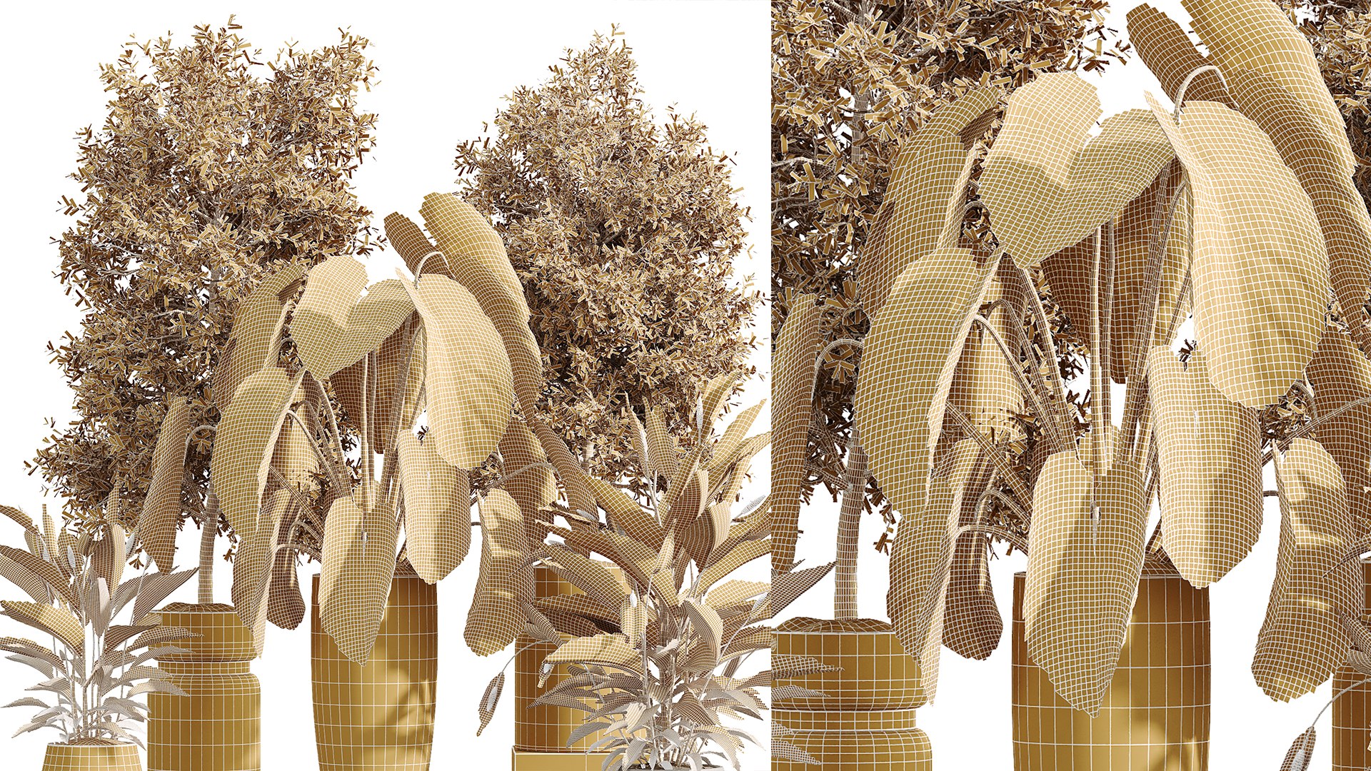 3D AV Indoor Plant Set 215 Mission Olive Spathiphyllum Lily Domino Alocasia Jardin Brisbanensis https://p.turbosquid.com/ts-thumb/aI/unJrmF/DF/07/png/1747124431/1920x1080/fit_q87/8bb270a08602536fa2da88d844aac0148e6b7d2f/07.jpg