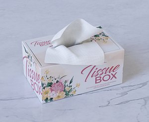3D Hard Box Tissue