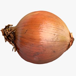 scanned onion 3D model