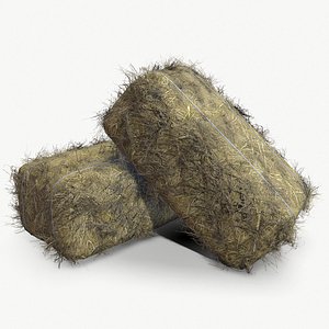 Haystack