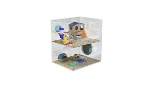 Hamster Cage