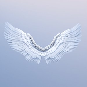 Angel Feather Wings  Rigged Stylized 3D Model  FBX Blender Textured 3D model