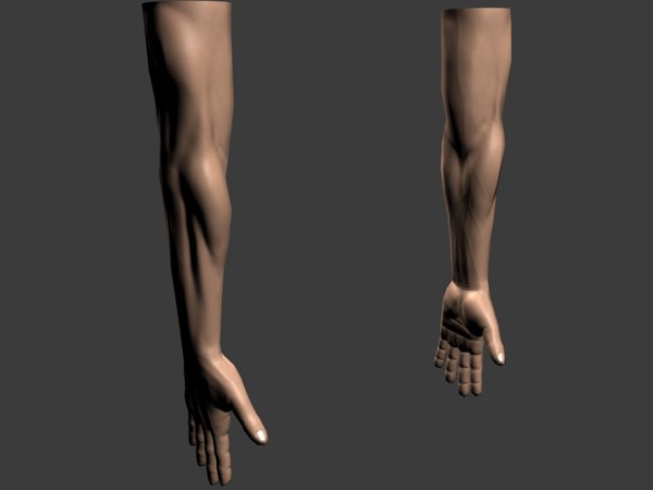 FPS female arms rigged 3D model | 3D model
