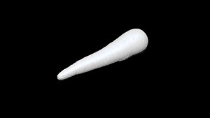 Carrot 3D CT scan model model