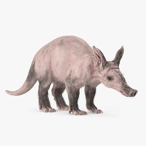 Aardvark Textured with Fur