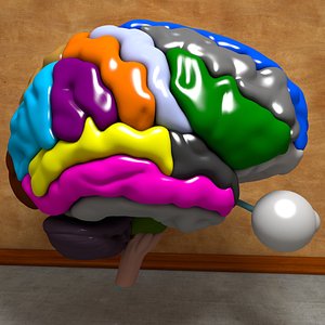 Ultimate Human Brain