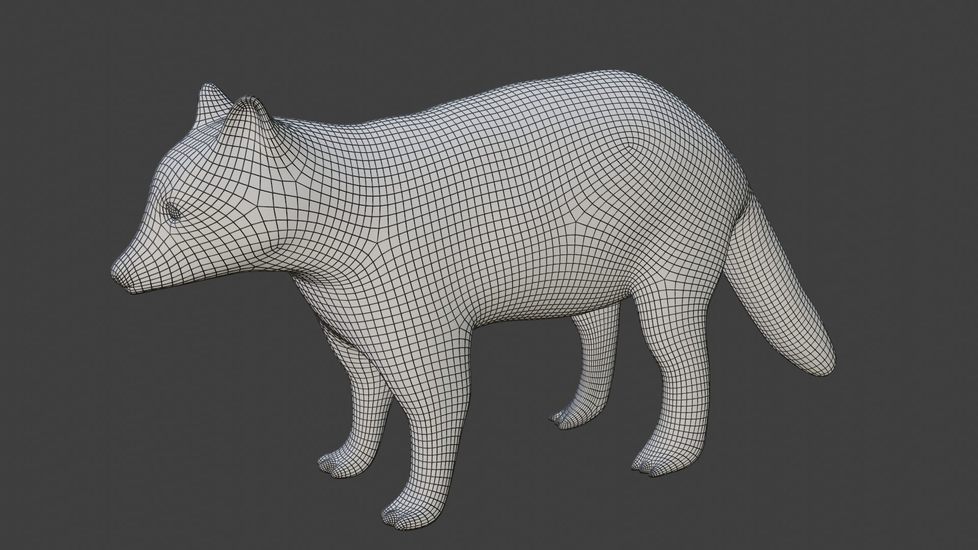 3D Fully Rigged Brown Raccoon Model - TurboSquid 1710706