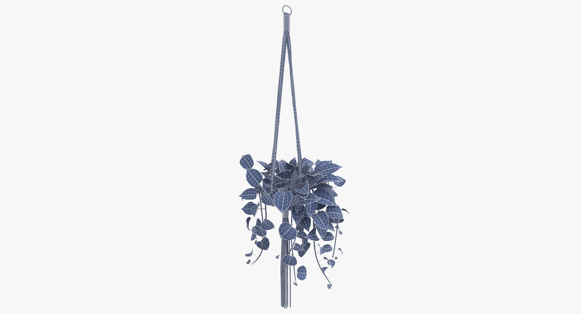 hanging house plant 01 3D https://p.turbosquid.com/ts-thumb/aJ/aEyMK3/9OG0t29r/hanging_house_plant_01_wireframe_0004/jpg/1544188564/1920x1080/fit_q87/823f29f9ec906cecc225a71c7a0a021e8173bc8e/hanging_house_plant_01_wireframe_0004.jpg
