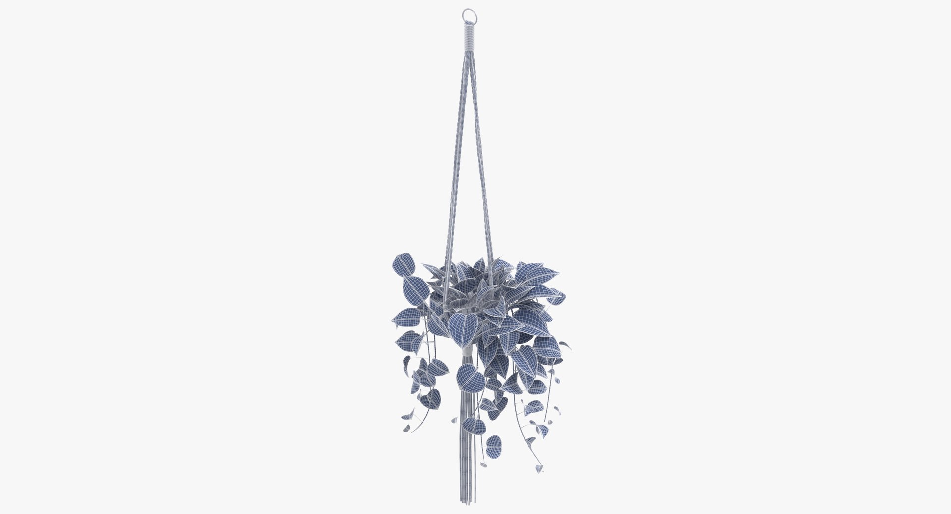 hanging house plant 01 3D https://p.turbosquid.com/ts-thumb/aJ/aEyMK3/Cfa42ixP/hanging_house_plant_01_wireframe_01_0004/jpg/1544188564/1920x1080/fit_q87/15c458dcfce92007989bc79376dd2f968f775312/hanging_house_plant_01_wireframe_01_0004.jpg