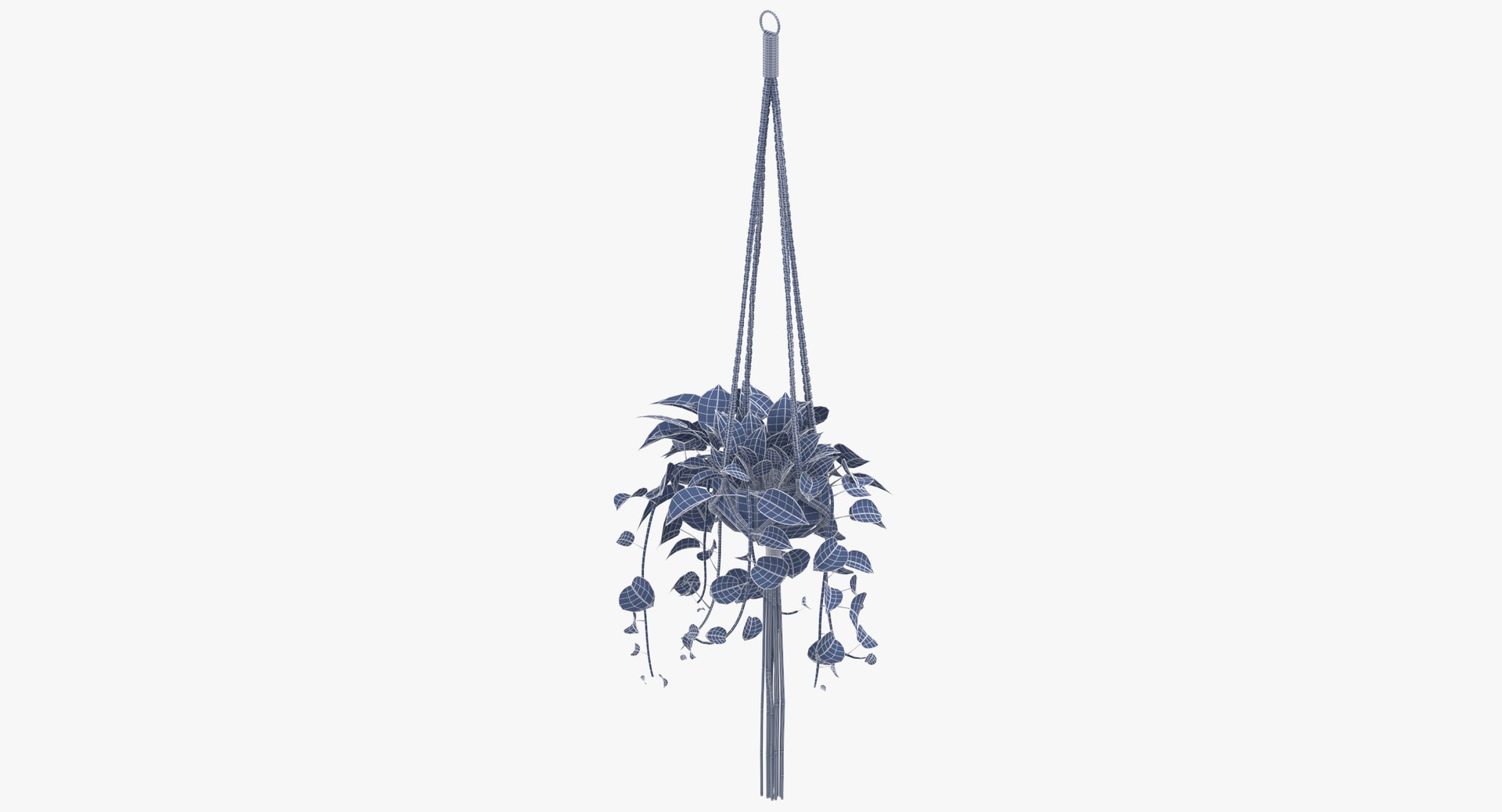 hanging house plant 01 3D https://p.turbosquid.com/ts-thumb/aJ/aEyMK3/pAAbIZiC/hanging_house_plant_01_wireframe_0002/jpg/1544188564/1920x1080/fit_q87/f3b04584aa293652ea8ce8caca36e3f302c48ad2/hanging_house_plant_01_wireframe_0002.jpg